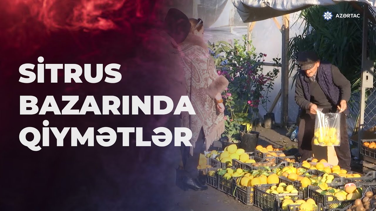 Lənkəranın sitrus bazarı