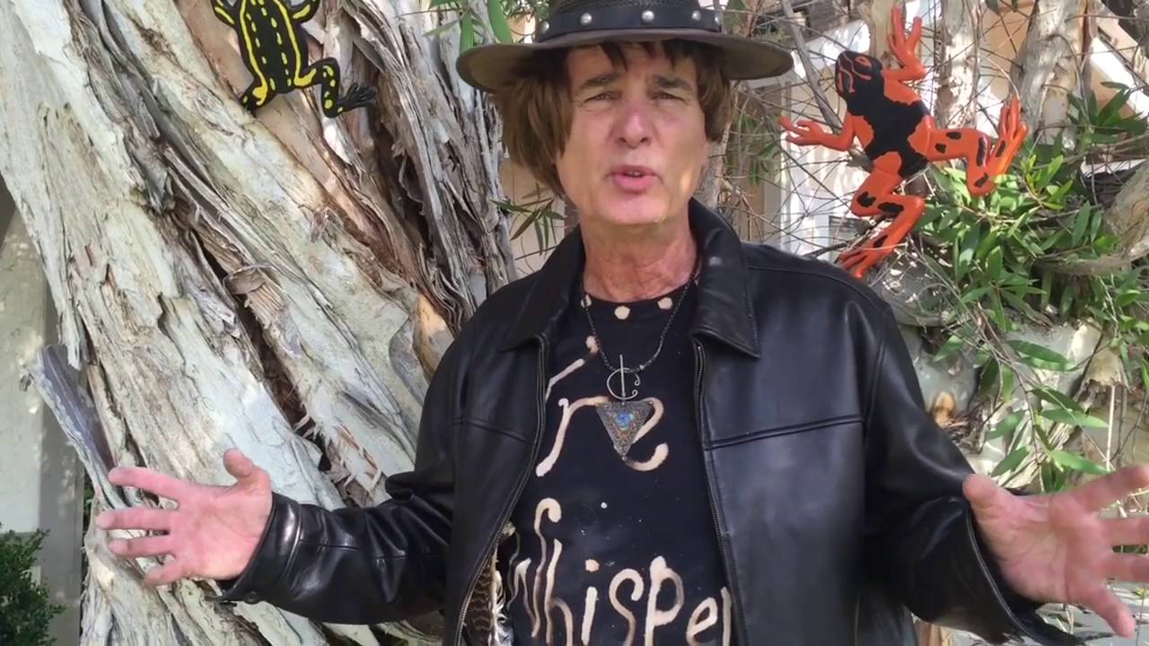 Malaleuca tree removal with Gary Walker, The Tree Whisperer