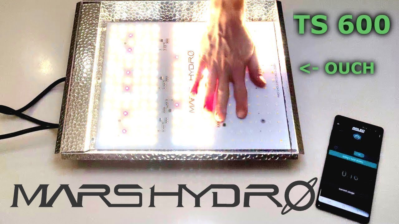Testing the Mars Hydro TS 600 Indoor LED Grow Light (TS-600)