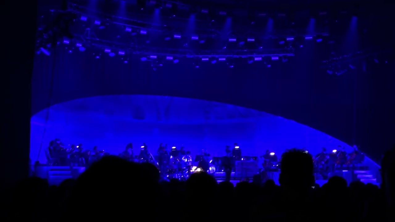 Haevn - The Sea (Live in Amsterdam Feb 6, 2026) 