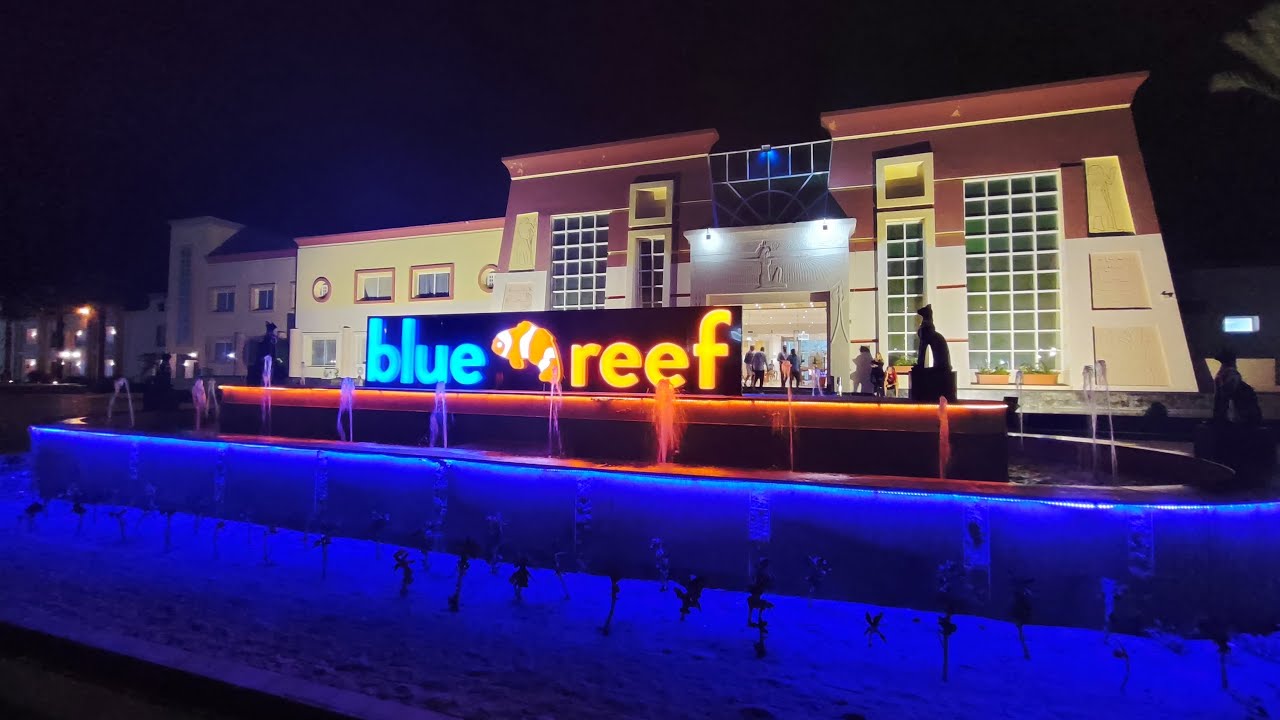 Blue Reef Hotel Marsa Alam April 2024, house reef diving at the Blue Reef Resort Sony FX30 4k