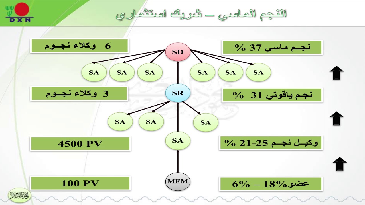 الخطة التسويقية-DXN
