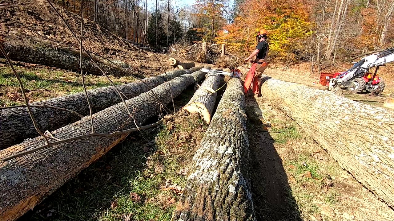 STIHL MS 500i -working logs on the landing...Bobcat 337 mini excavator loading!