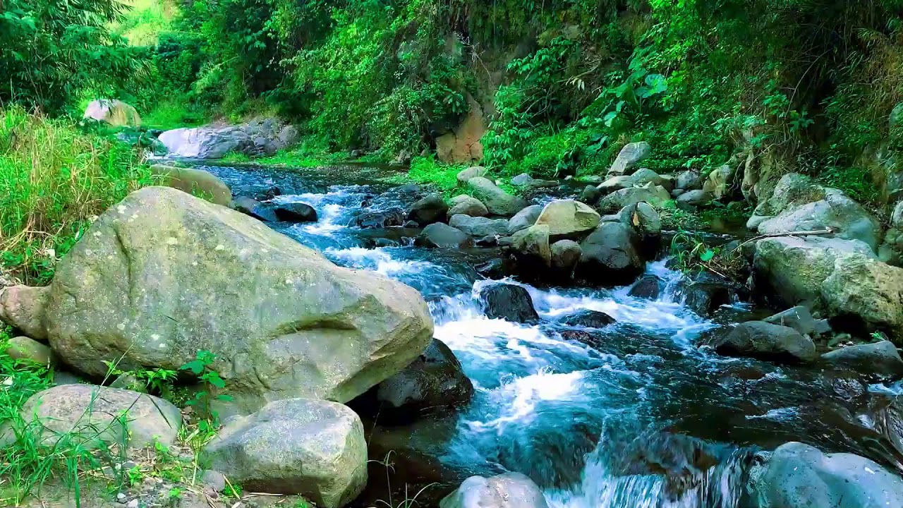 Freshwater Stream Nature ASMR for Insomnia Relief, Emotional Balance, Massage