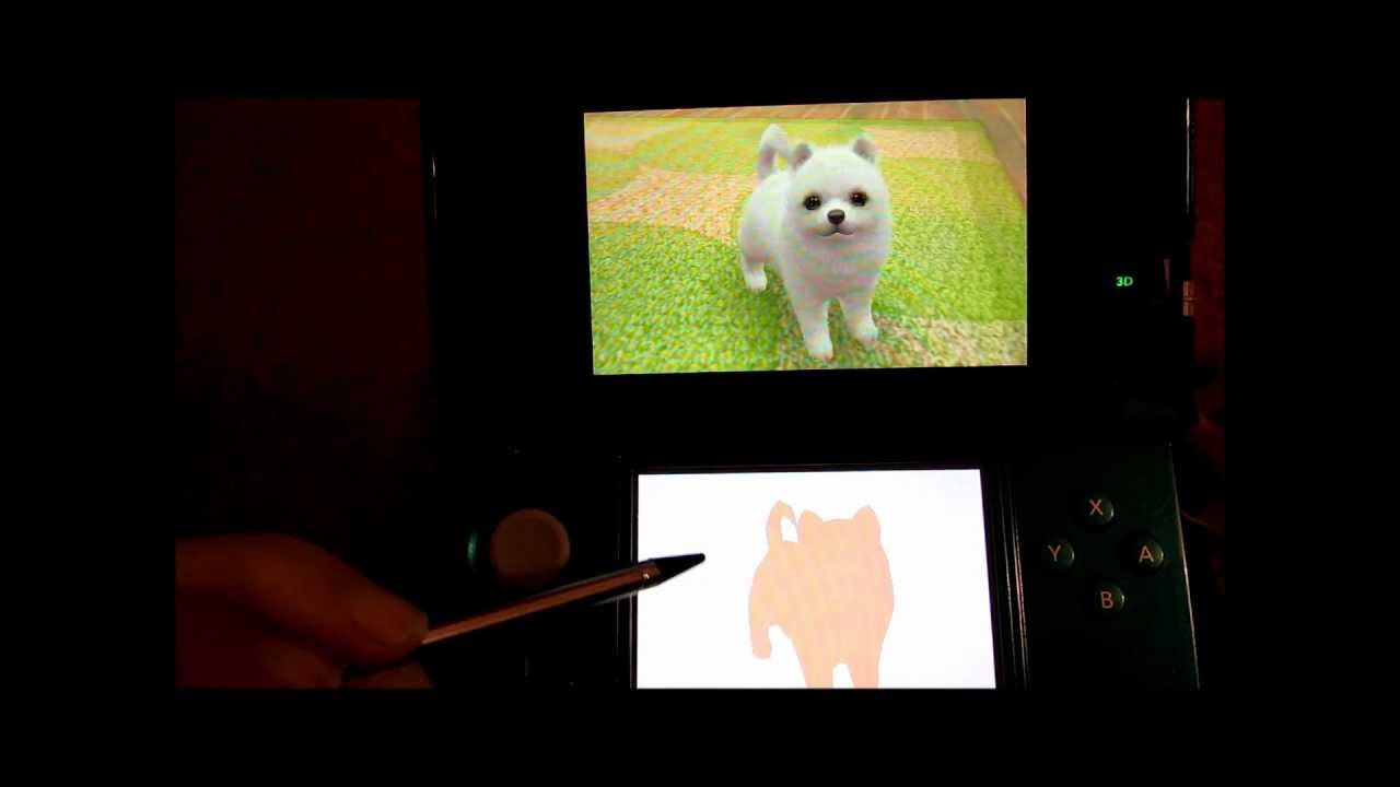 N + C : Toy Poodle - Day 1 Part 1