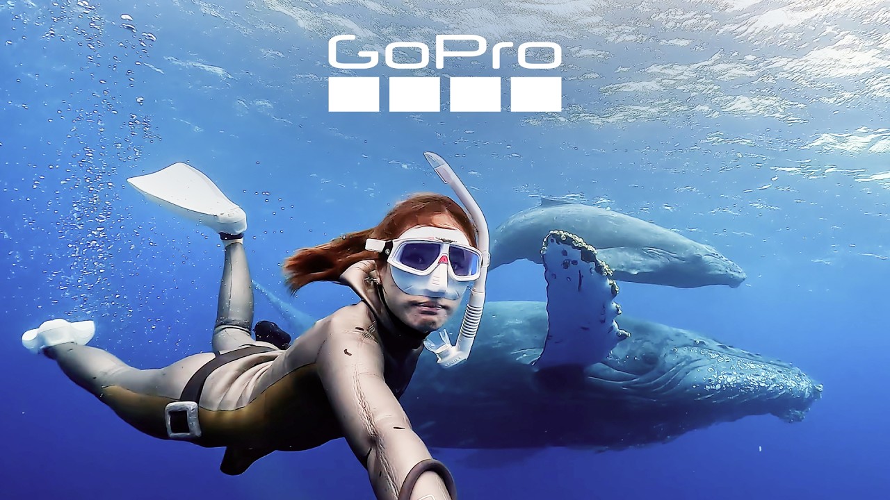 GoPro's Most Beautiful Underwater Moments