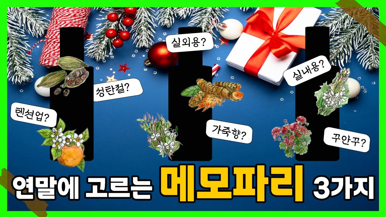 연말에 어울리는 메모 파리 향수 3가지