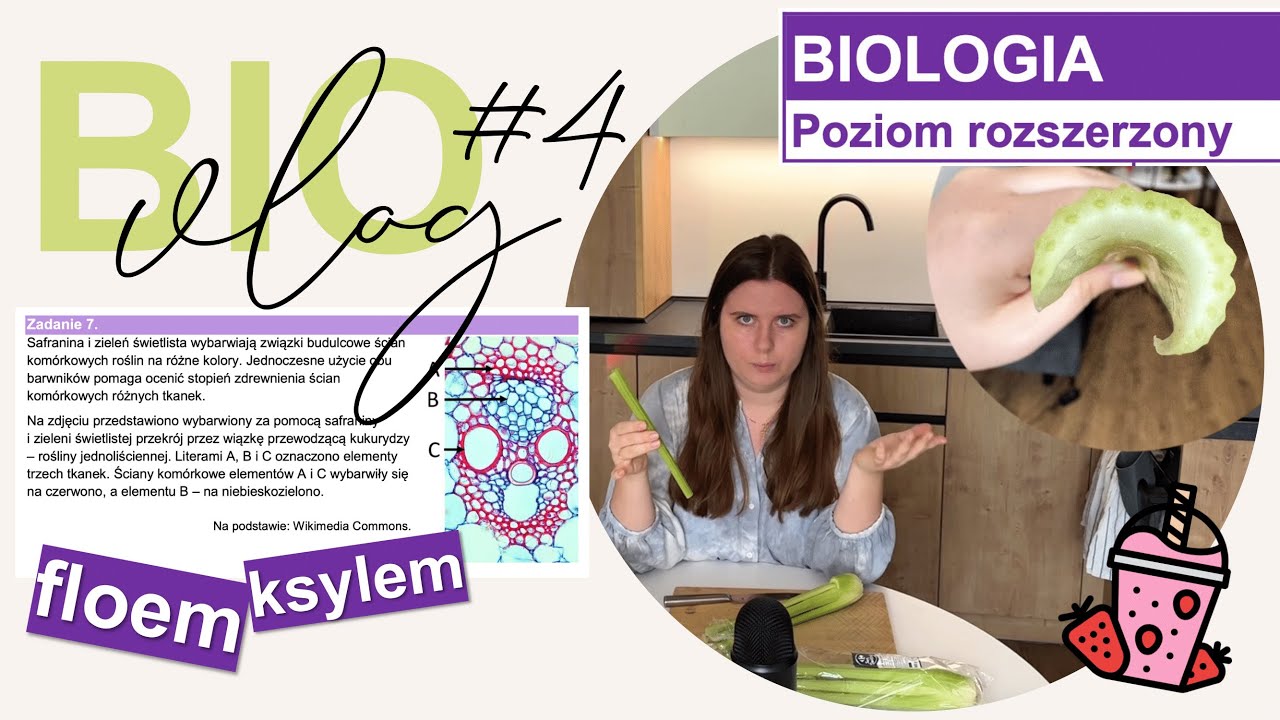 BIOvlog#4 - Ksylem i floem | zadania maturalne - biologia do matury