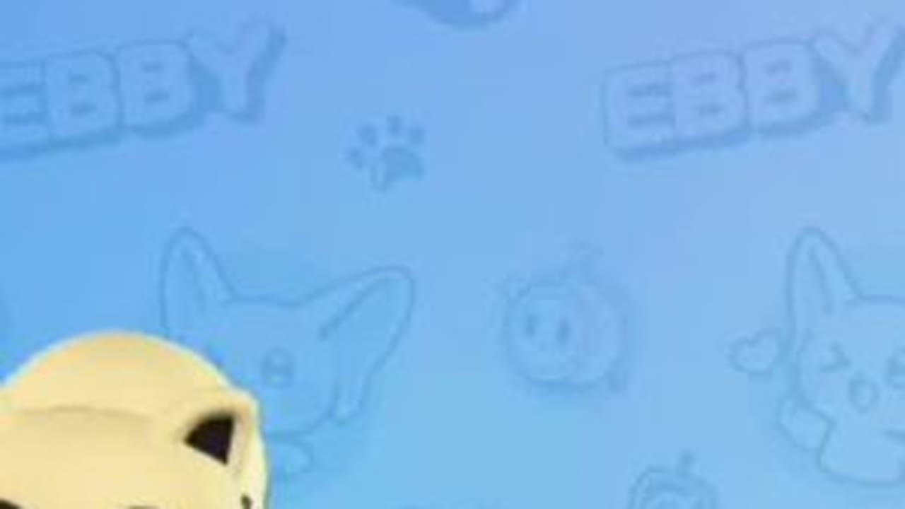 蛋仔派对第二期，去艾比大陆，抓杰尼龟，回来之后发现，两只艾比在偷懒