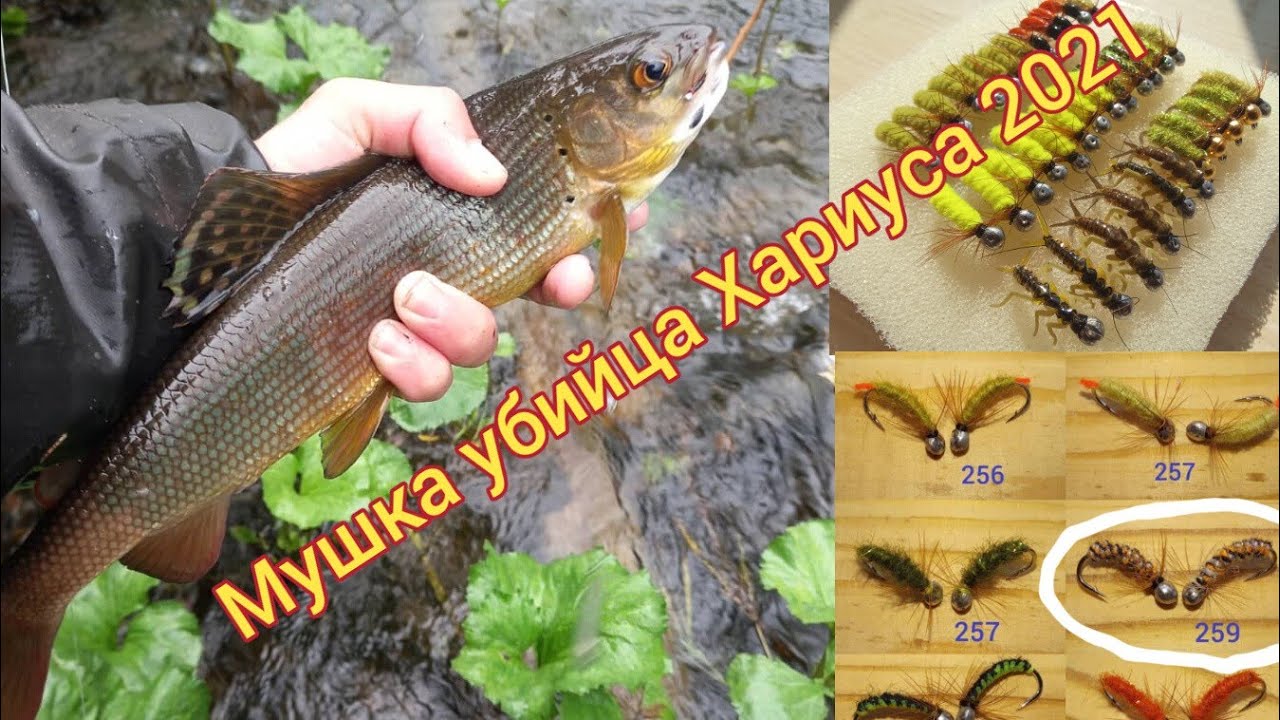 Мушка Фаворитка. Убийца последней рыбалки!Мушка на Хариуса!