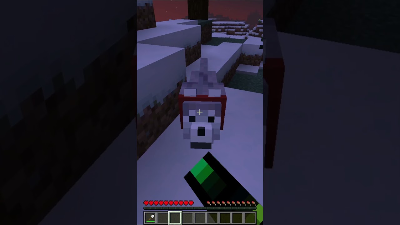 Дверь для собаки в Майнкрафте..? #shorts