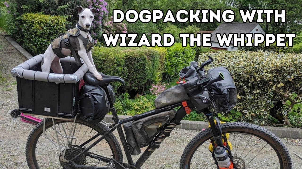 Dogpacking with Wizard.  The start of my bikepacking adventures with my dog.