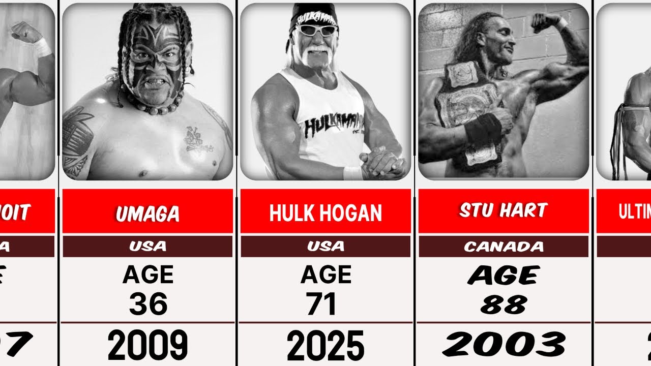 WWE wrestlers who died every year (2000–2025)