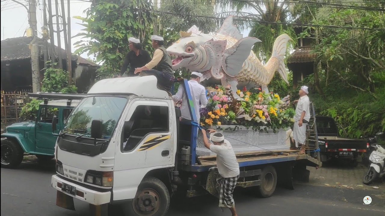 Mendak Petulangan Kaang ring Puri Ubud Palebon Pelinggih Dane Jro Gede Batur Kawanan (Alitan)