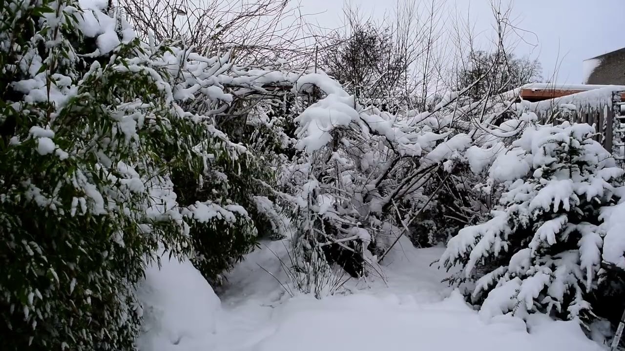 The boring Garden #071