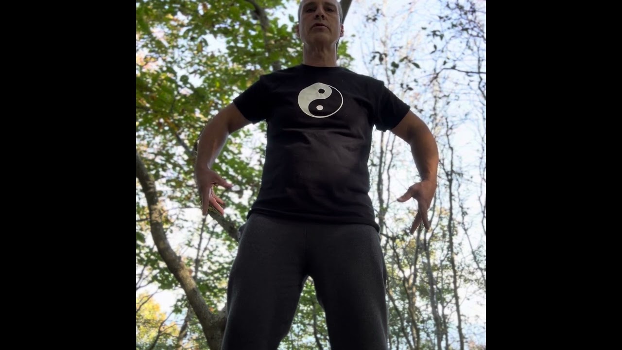 Zhan Zhuang-Two Different Standing Stake Postures
