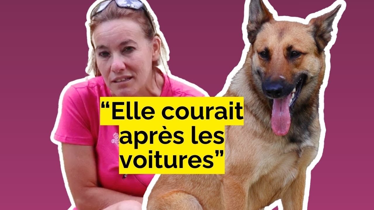 Histoires de chiens - Helki et Céline