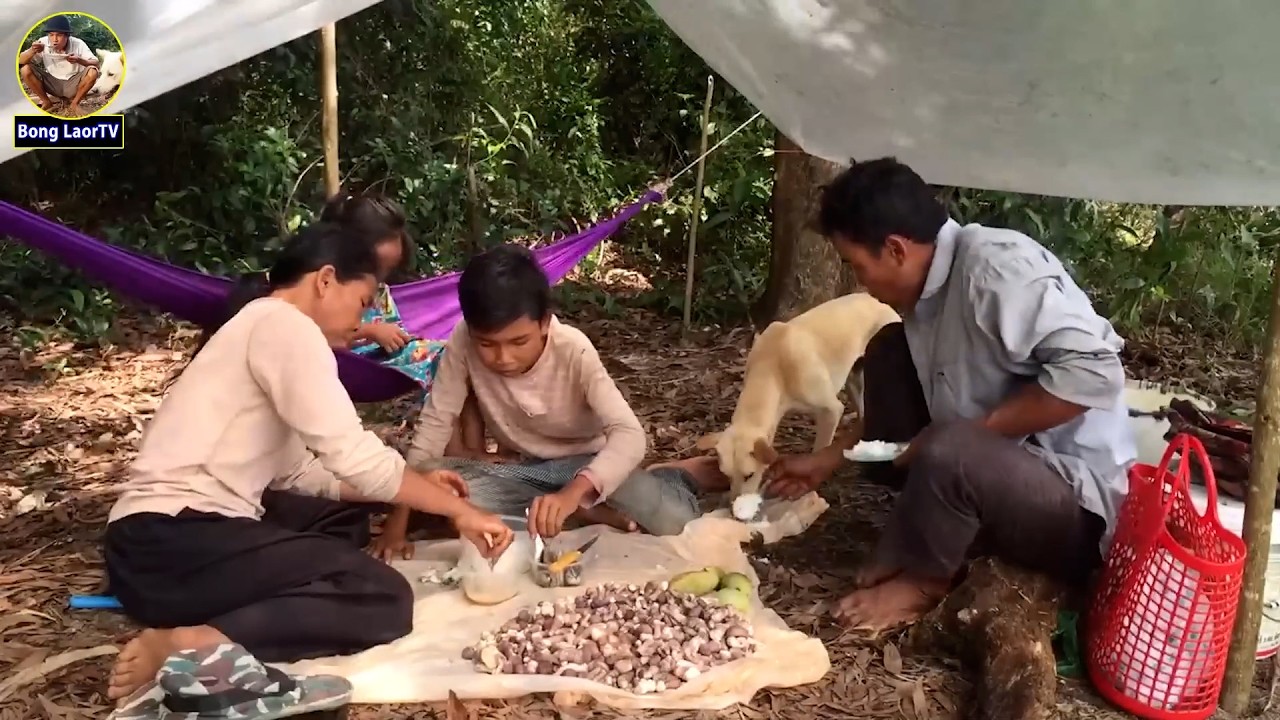 មេឃភ្លៀងផ្សិតដុះជាធម្មតាតាមកោះនានា សែនស្រស់បំព្រង MUSHROOM UNDER RAINING LOOK SO BEAUTIFUL