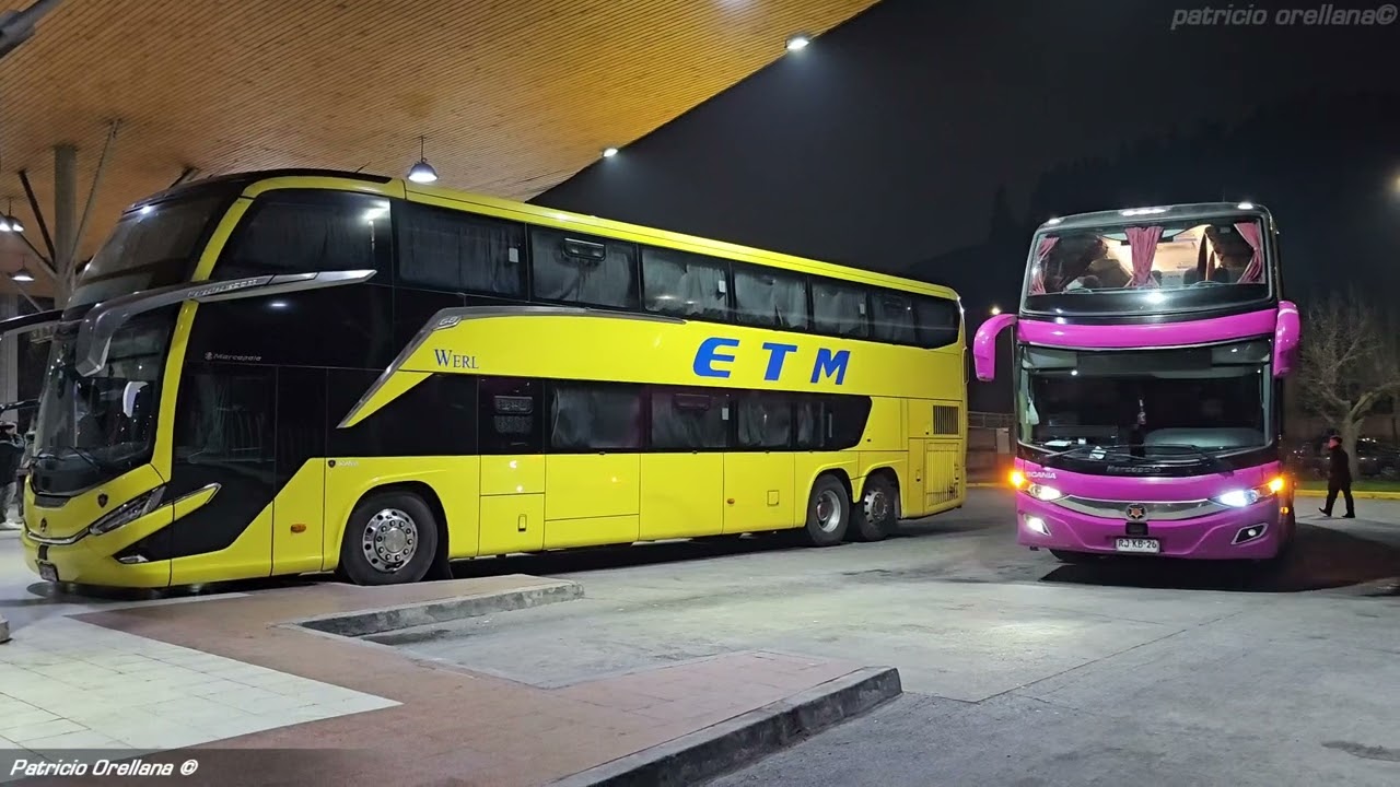 buses en el terminal collao concepcion volumen 4 NOCTURNO | eme bus, tpl, jordan, etm,  transantin