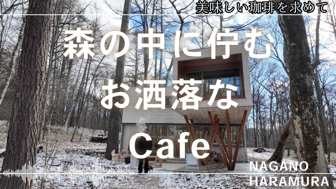 森の中に佇むお洒落カフェに行ってきた in 長野〜山梨   #SUNNY COFFEE & ROASTERS  #原村