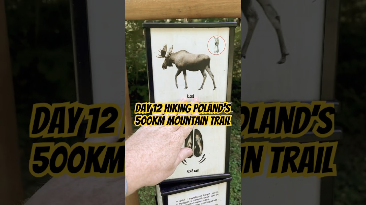 Day 12 hiking Poland&rsquo;s longest mountain trail #solohiking #thruhiking