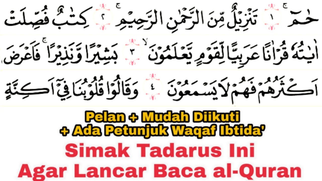 Tadarus Surat Fushilat Ayat 1-29 Ada Tanda Warna Panjang & Dengung Agar Lancar Baca al-Quran