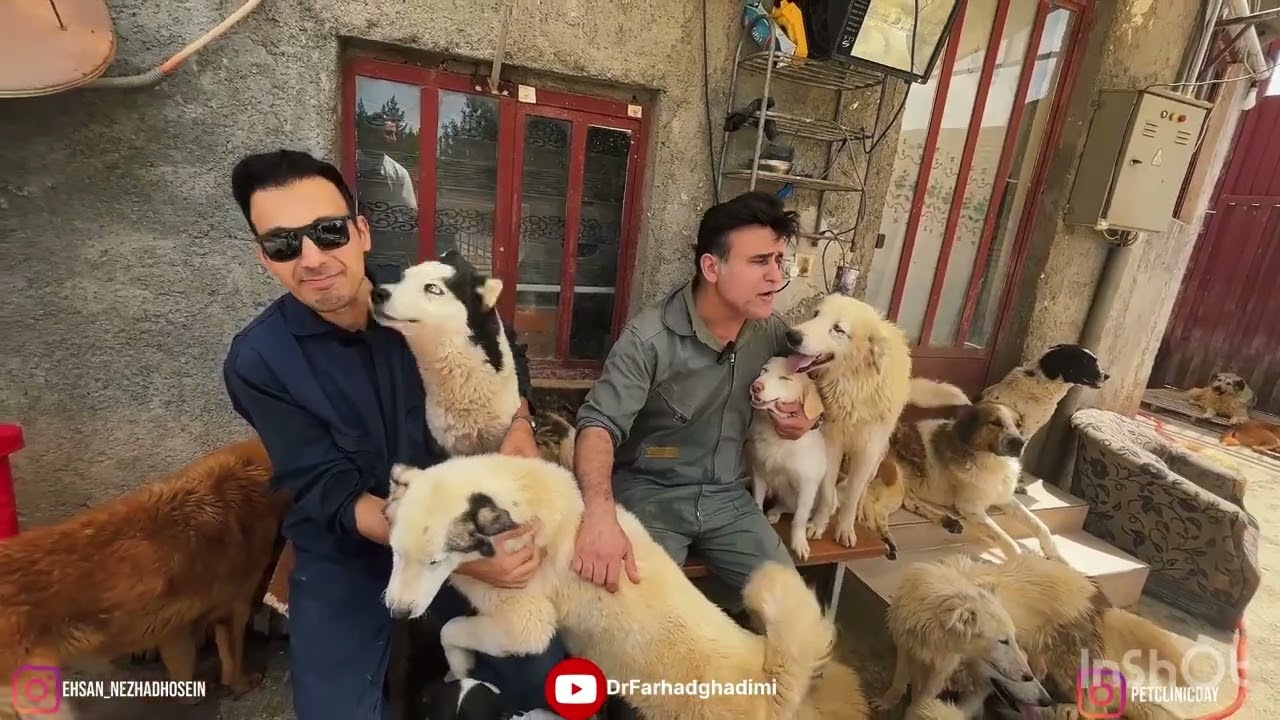 بخشی از مستند پناهگاه احسان گلستان