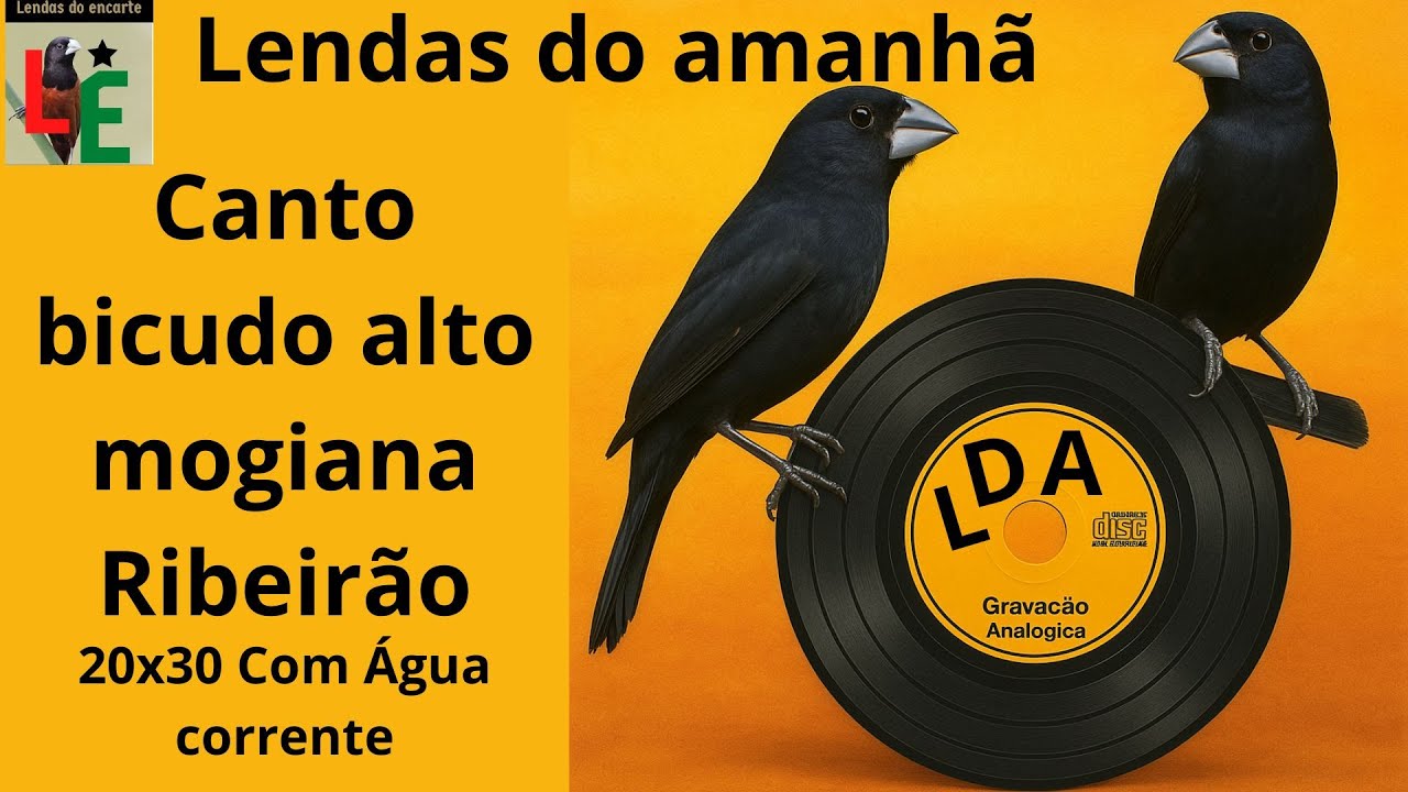 Canto bicudo alto Mogiana Ribeirão 20 x 30 Com Água corrente