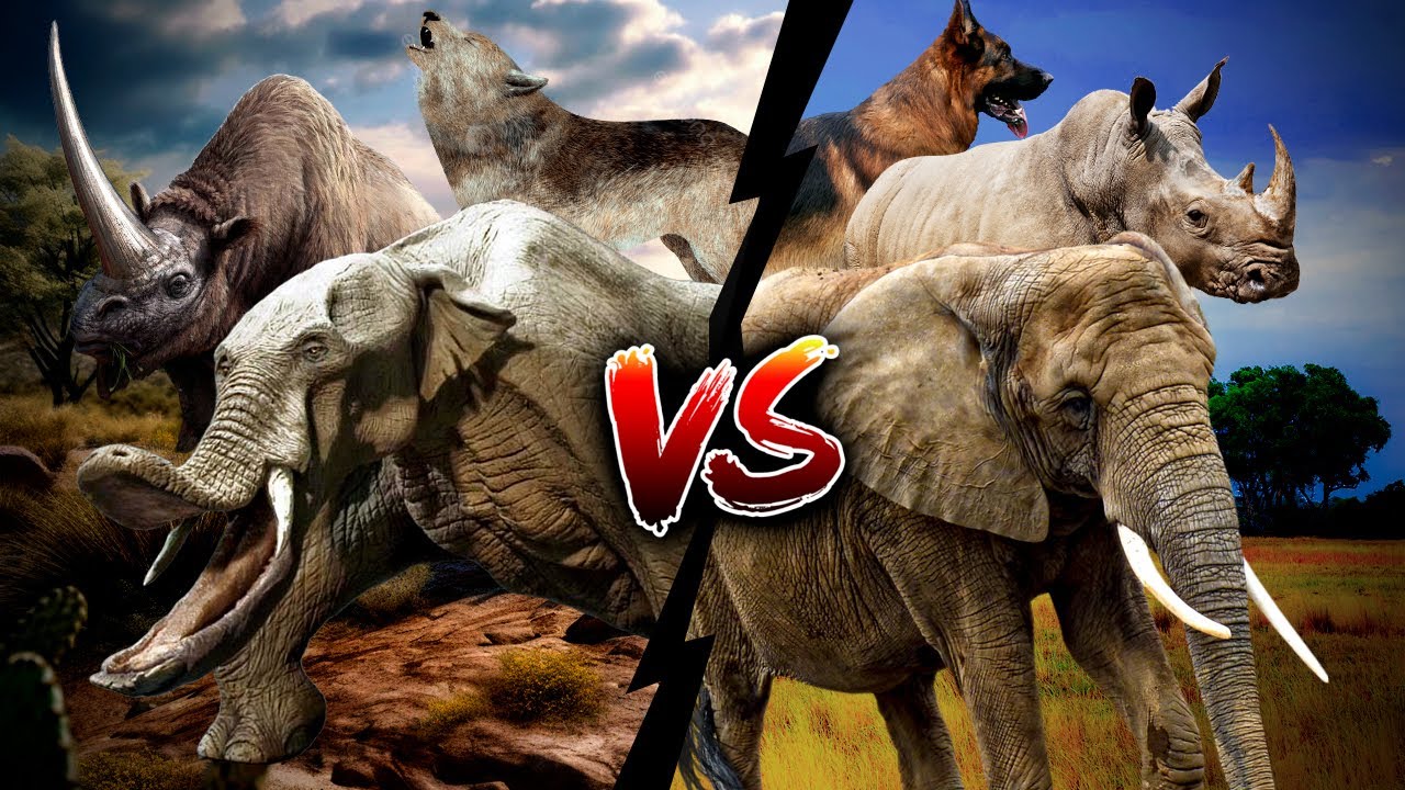Antepasados animales VS animales actuales - Descubre el antepasado de tu periquito