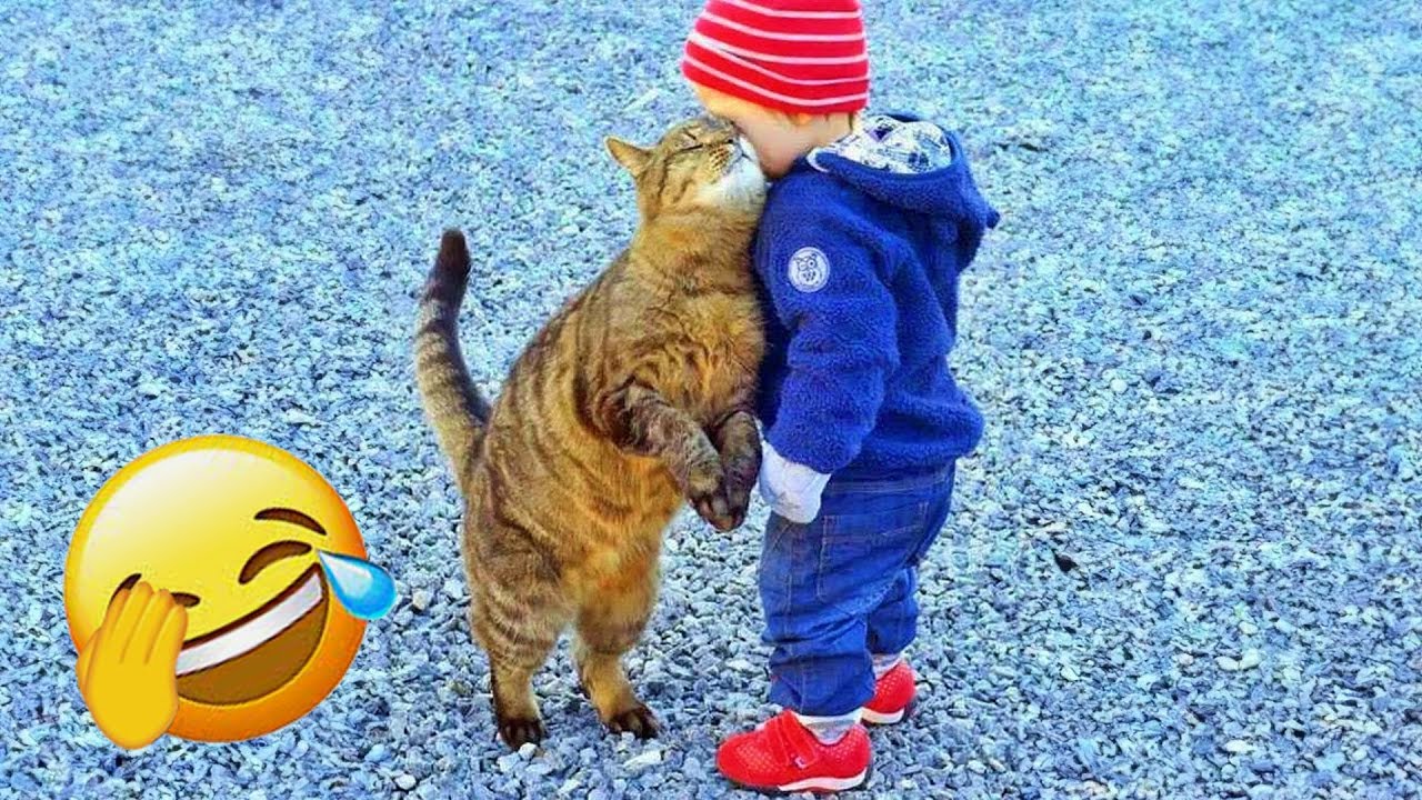 Funniest Cats and Dogs Clip 2025😼🐶Try Not To Laugh😜 🍌 #funniestanimals #funnydogs #funnycats