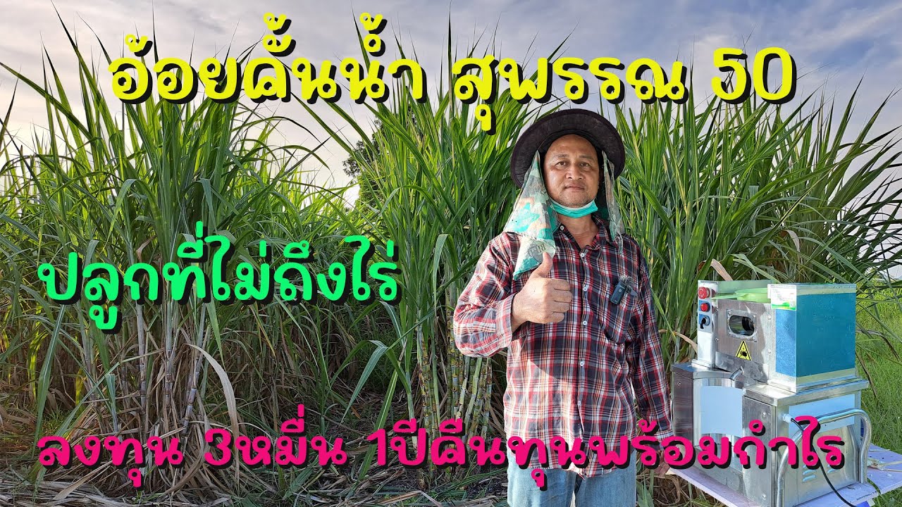 อาชีพอ้อยคั้นน้ำ ลงทุน 3 หมื่น 1 ปีคืนทุนและกำไร