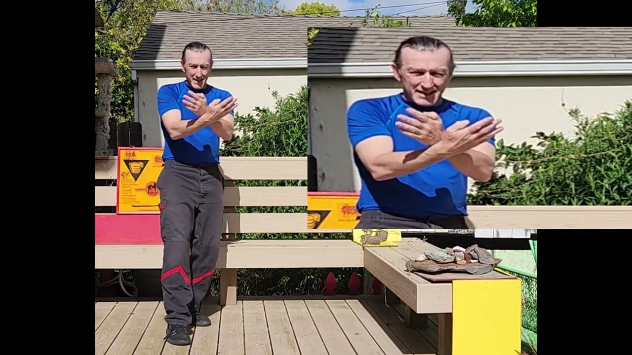 Siu Nim Tau  Form-EBMAS Emin Boztepe Martial Art System Wing Tzun