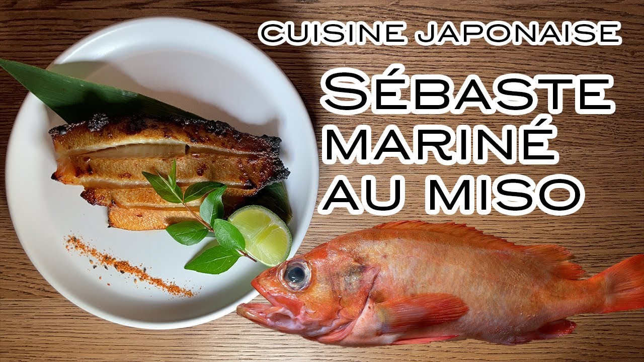【Découper le poisson】Sébaste mariné au miso, cuisine japonaise