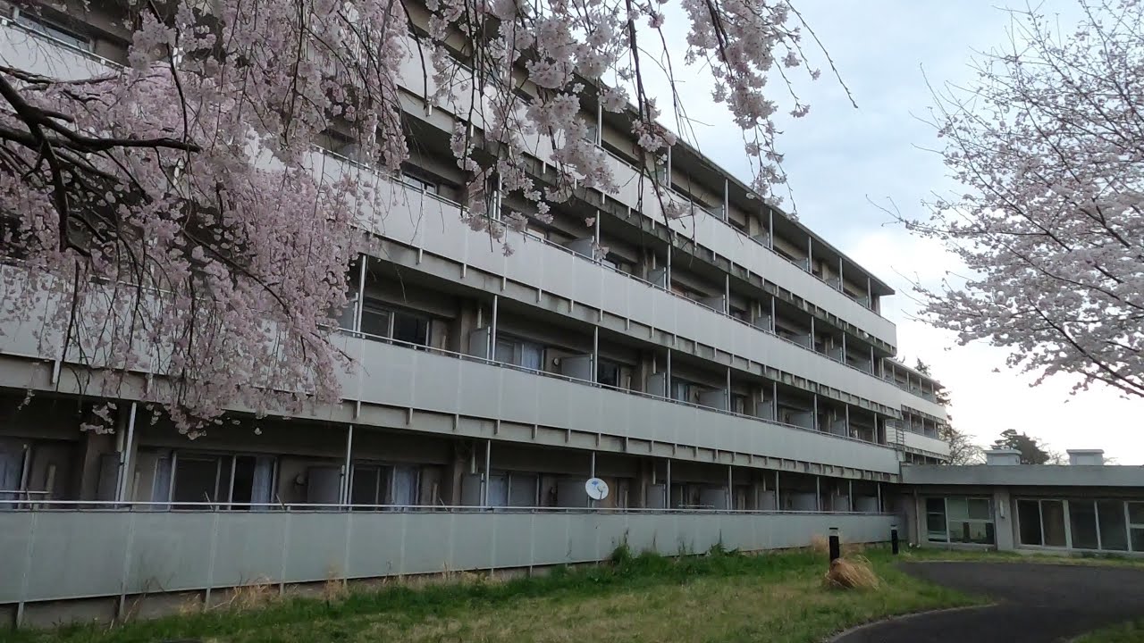 Spring holidays (life in ISDAK, Kodaira dormitory, Hitotsubashi university)