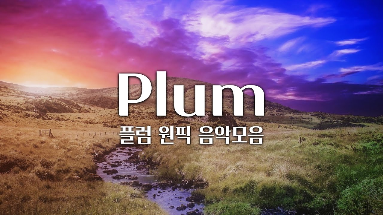 【𝐏𝐥𝐚𝐲𝐥𝐢𝐬𝐭】 작곡가가 직접 고른 원픽 자작곡 플레이리스트! / Plum 음악 모음 (중간광고 X)
