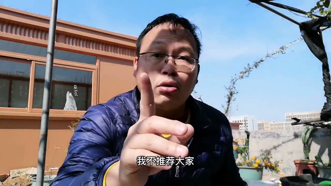 花店老板永远不会告诉你！大花盆底下放“1物”，10年不烂根