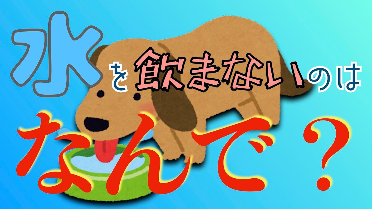 水を飲まないのはなんで？