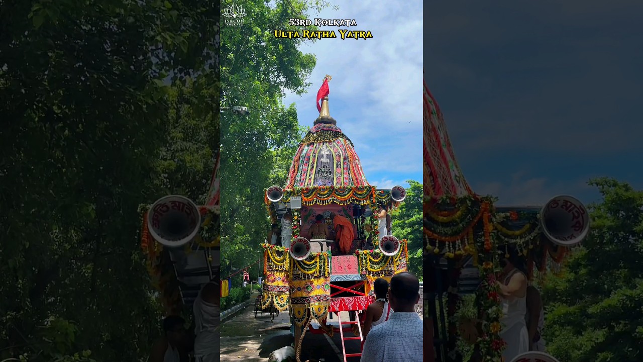 53rd Kolkata Ulta Rath Yatra 2024Please Comment Jagannath #iskcon#prabhupada#rathayatra #ultarath