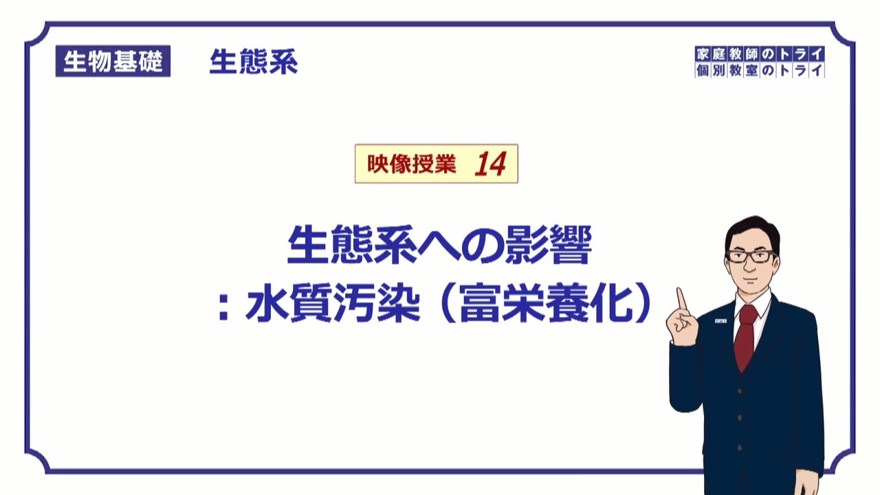 【生物基礎】　生態系14　生態系への影響：水質汚染　富栄養化　（１１分）