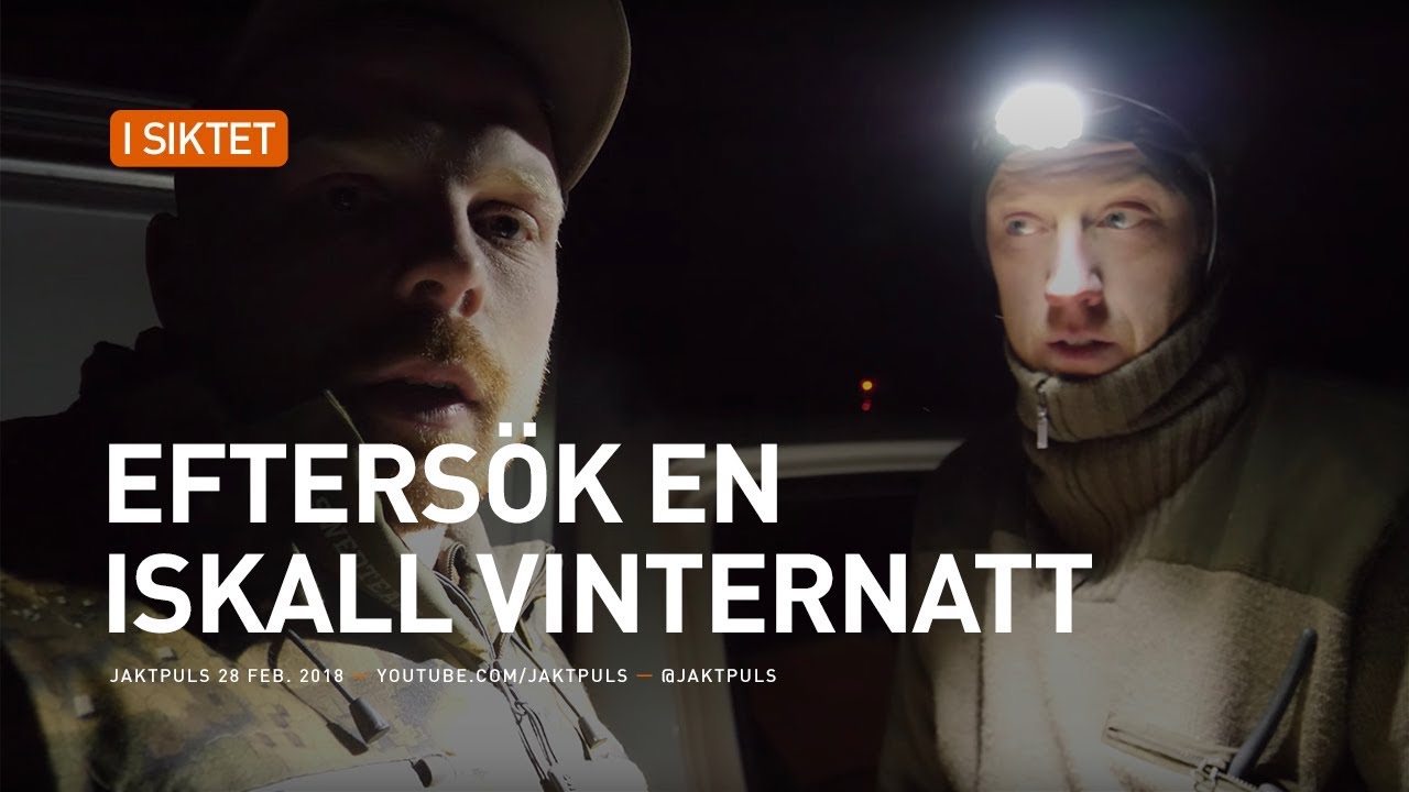 Efters&ouml;k en iskall vinternatt