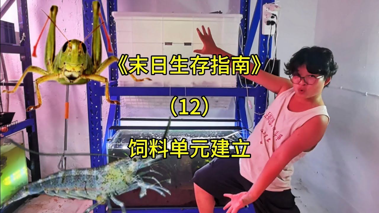 不是？这俩物种也能共生？#末日生存 #生态循环 #室内农场 #沙雕日常 【刘惟与】