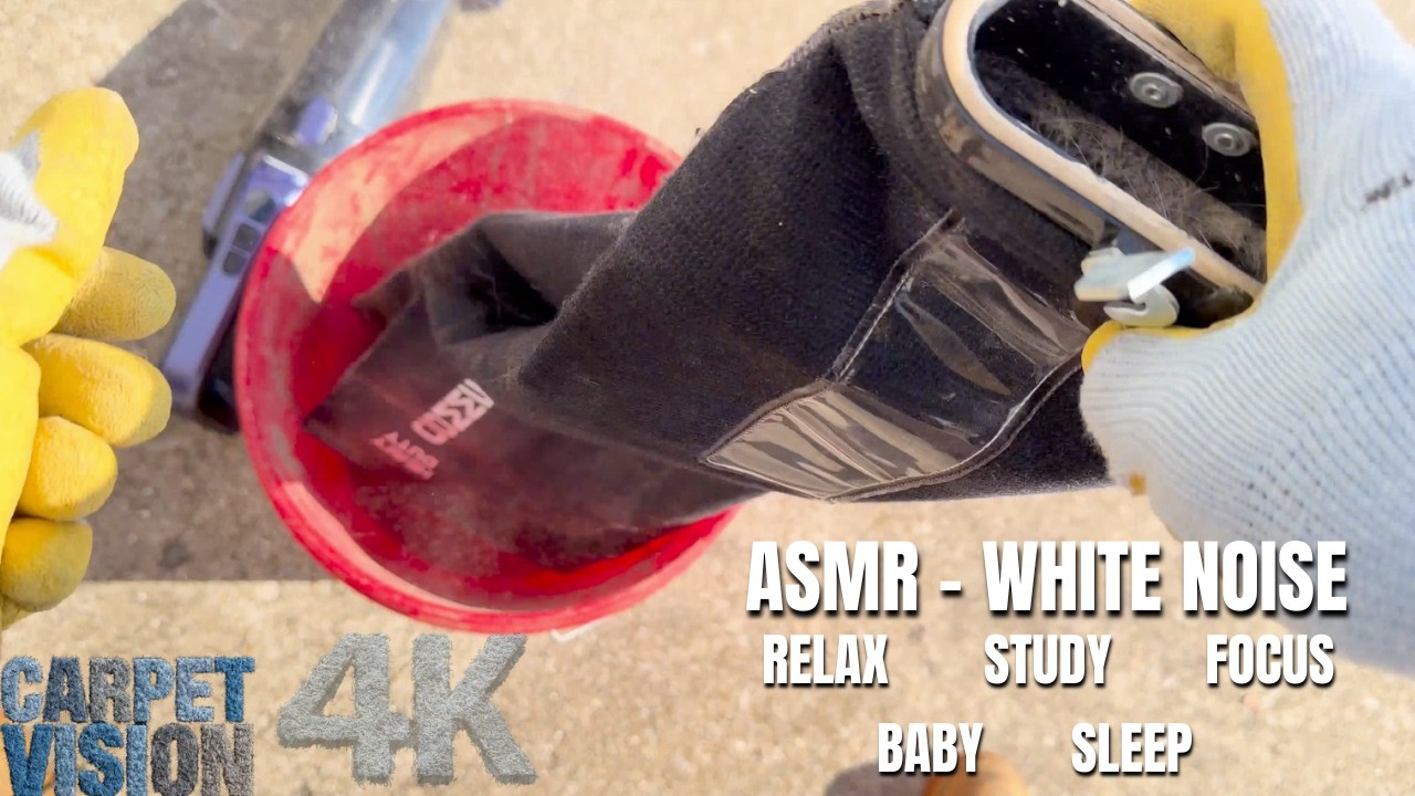 ASMR Carpet Cleaning | Deep Pet Oil Requires Aggressive Steam (Sleep Now)