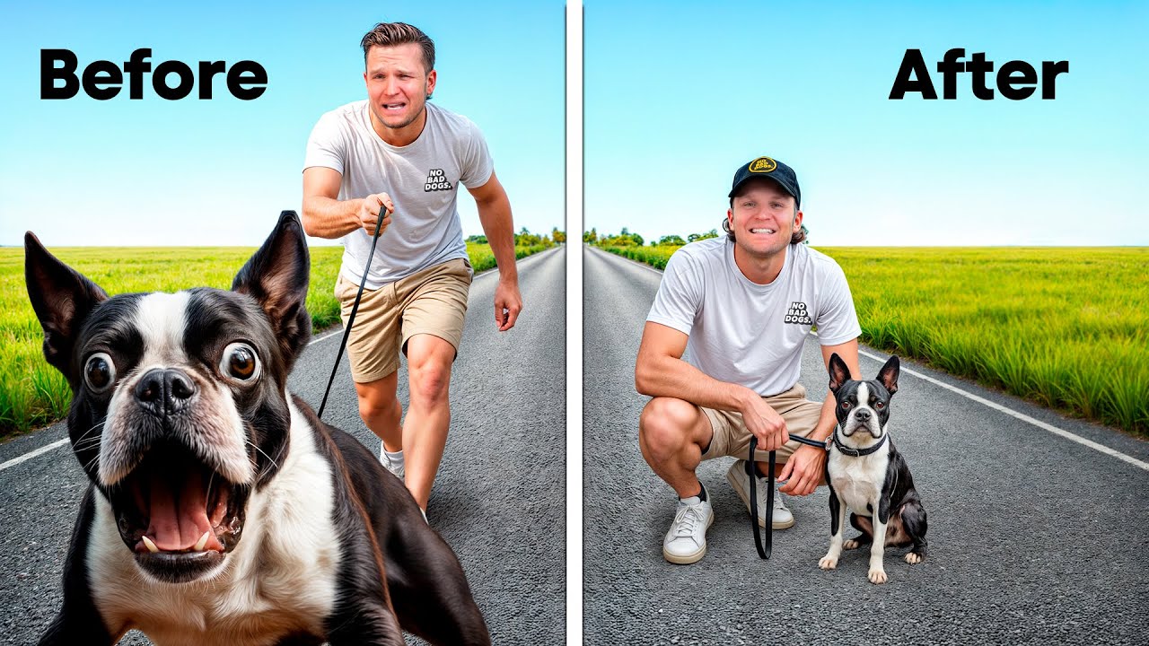 This One Thing ENDED Her Leash Aggression (How To STOP Leash Reactivity Fast)