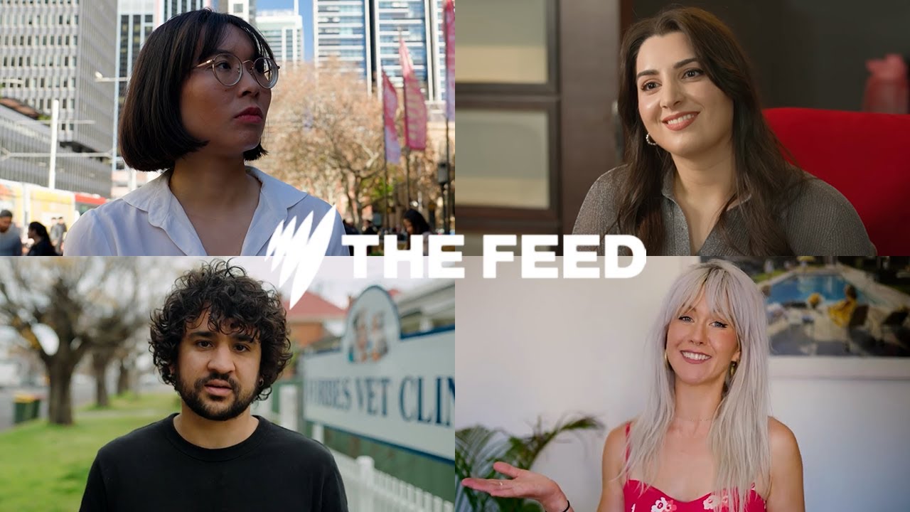 What is The Feed? Glad you asked | Short docs, investigations, comedy, explainers