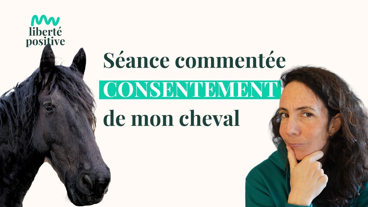 Commencer l'éducation positive avec son cheval : Clicker training, consentement et soins