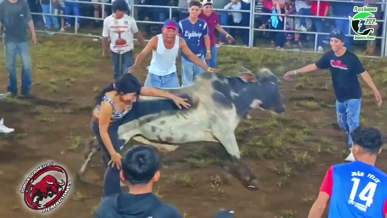 Corridas de toros esquipulas Managua 25/12/25 Ganaderia El Campeón, plaza Taurina Torrentes Power 