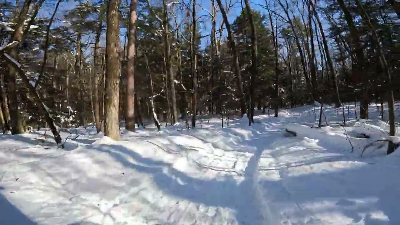Winter Rides - Mid Landing to Rusty Subaru - Colchester Woods (2026)