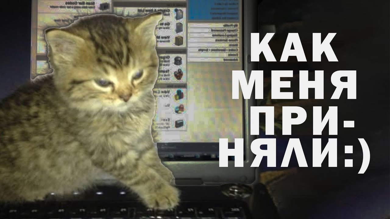 Как я из тихони стал самым популярным в универе? История принятия (и даже большего)...