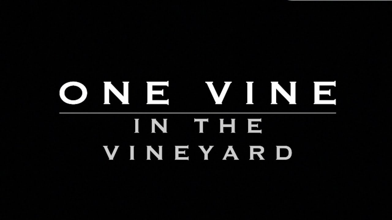 One Vine in the Vineyard Series # 6