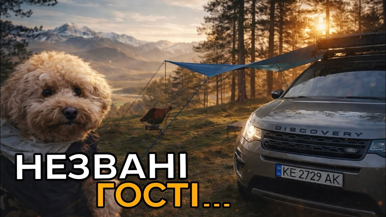 ГОСТІ НА КЕМПІНГУ НЕ МІГ ЗНАЙТИ ЛОКАЦІЮ, ЗНОВУ Land Rover 4K